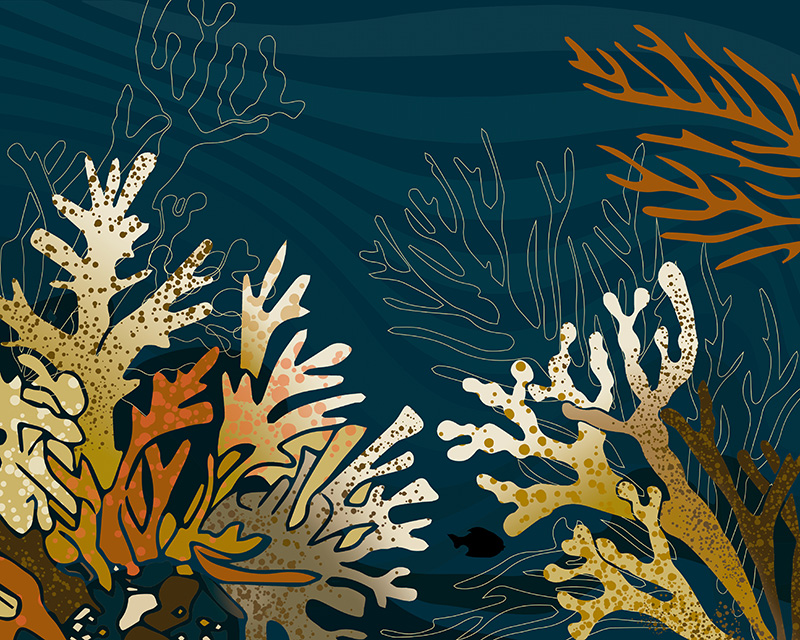 Bolsa-coral-final-03