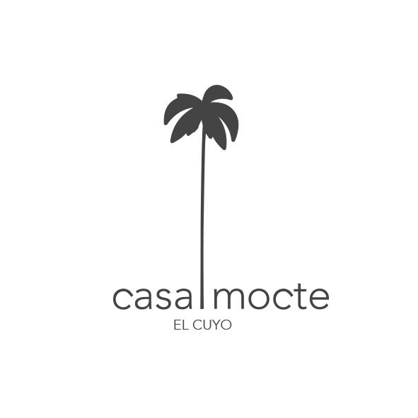 cm-palm-2